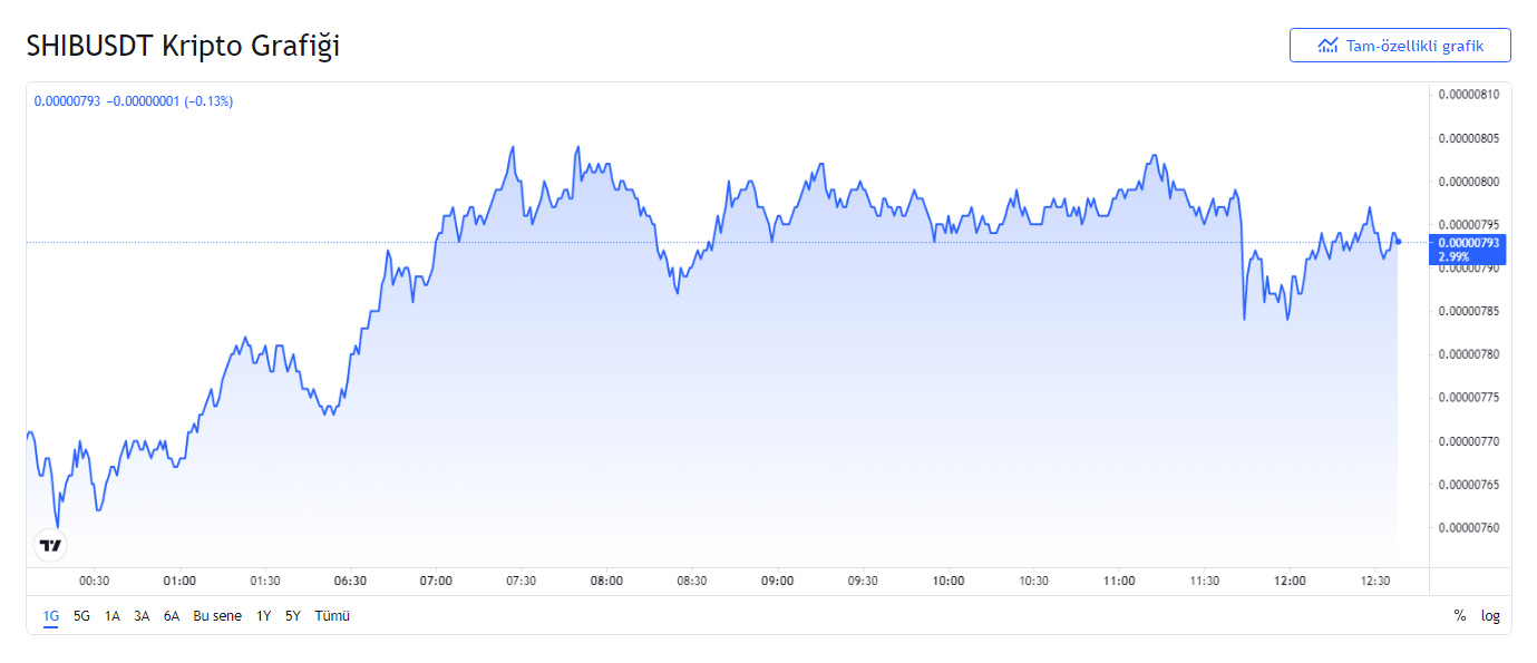 SHIB USDT Fiyatı Son 24 Saatlik Grafiği