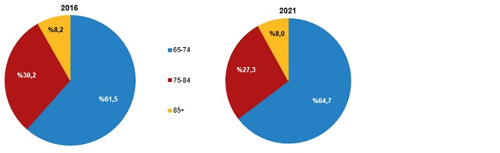 Yaş grubuna göre yaşlı nüfus oranı, 2016, 2021