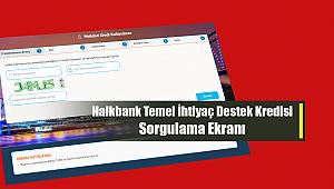 Halkbank 6 ay ertelemeli 10 Bin TL temel ihtiyaç destek kredisi başvurusu sorgulama ekranı! Halkbank kredi sonuç sorgula
