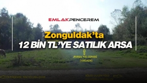 Zonguldak Çaycuma'da 12 Bin Lira bedelle bankadan satılık arsa