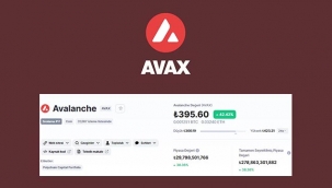 AVAX Avalanche Coin 2021'de sıçradı! Yüzde 1850 yükseldi...