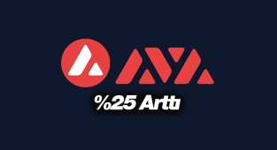 Avalanche (AVAX) son 24 saatte yüzde 25 ile sert yükseldi! AVAX coin fiyat analizi